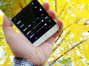 手机看片在线国产,手机看片，尽享国产影视魅力